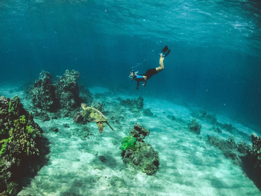 Hawaii Scuba Diving