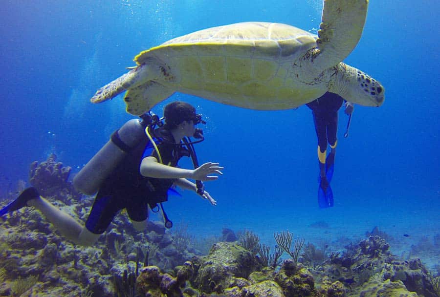 Switzerland Scuba Diving