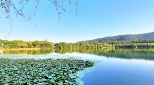 China west lake
