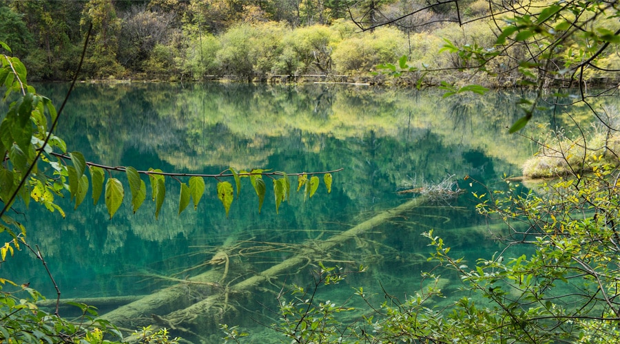 Sichuan Jiuzhaigou Park