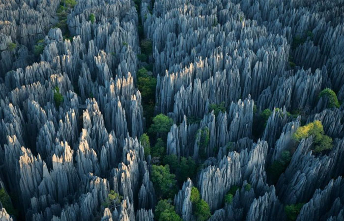 Stone Forest Geological Park