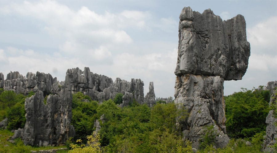 Stone Forest Park