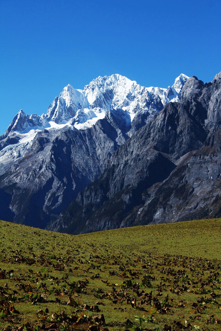 The Jade Dragon Snow Mountain in Lijiang