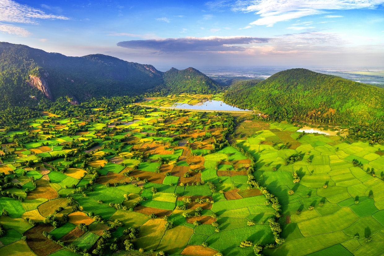 Aerial view of rice fields in Mekong Delta, Tri Ton town, Vietnam.