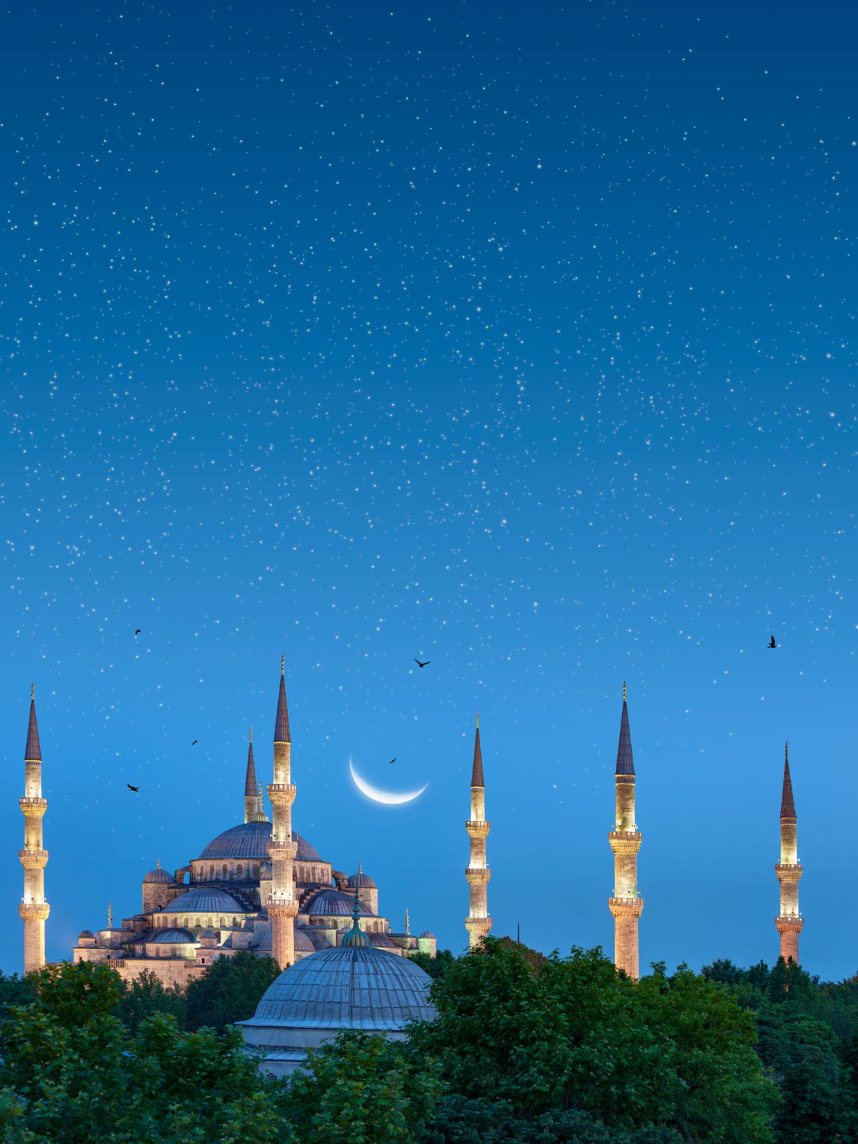 ALL INCLUSIVE BOAT TRIP to National Park from Kusadasi