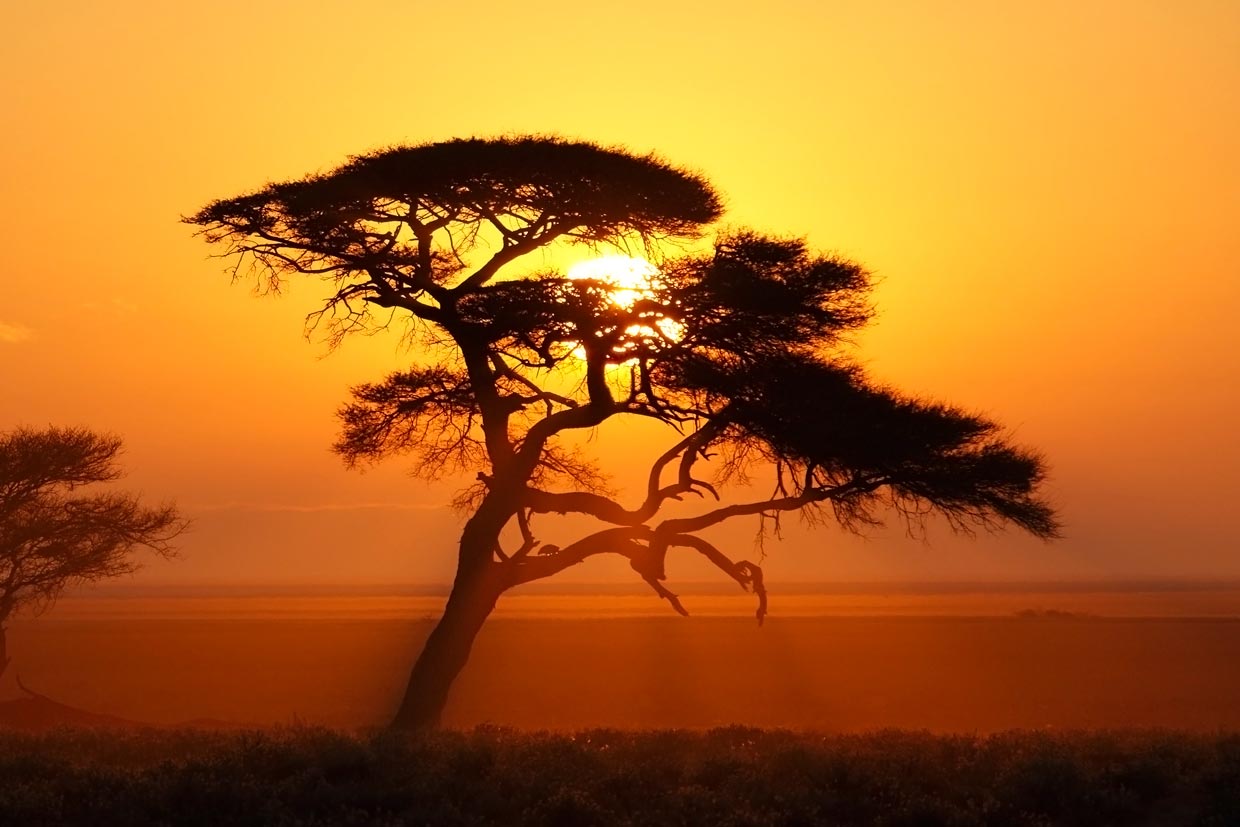 Etosha National Park