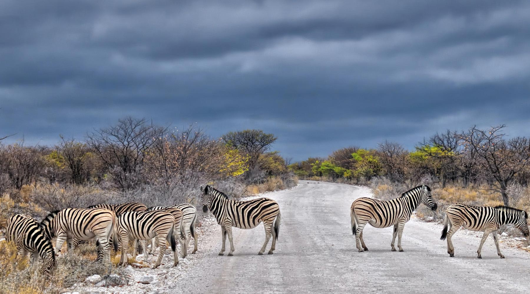 Etosha National Park