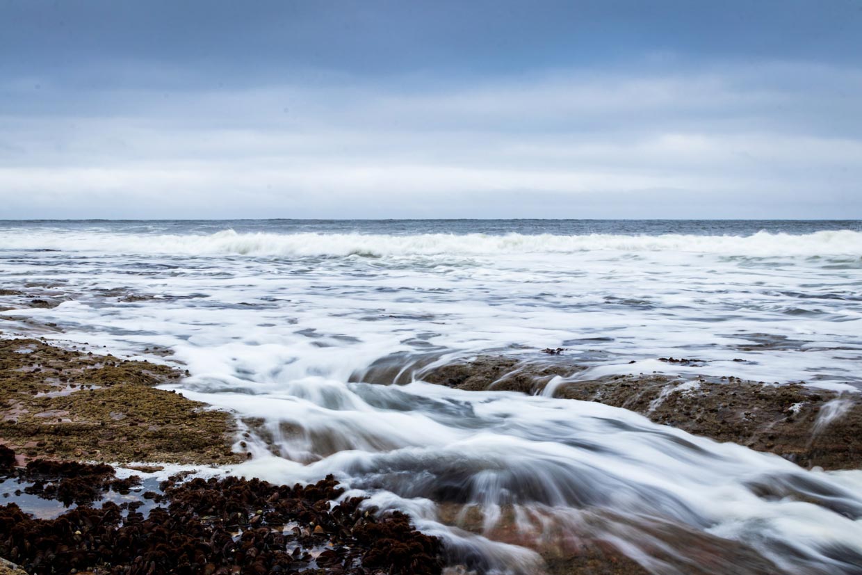 Full Day West Banks of Luxor