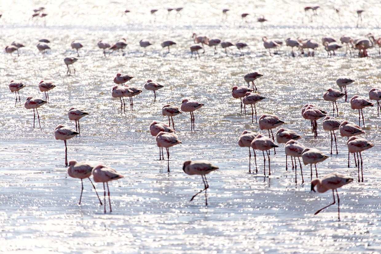 Pamukkale Travertines