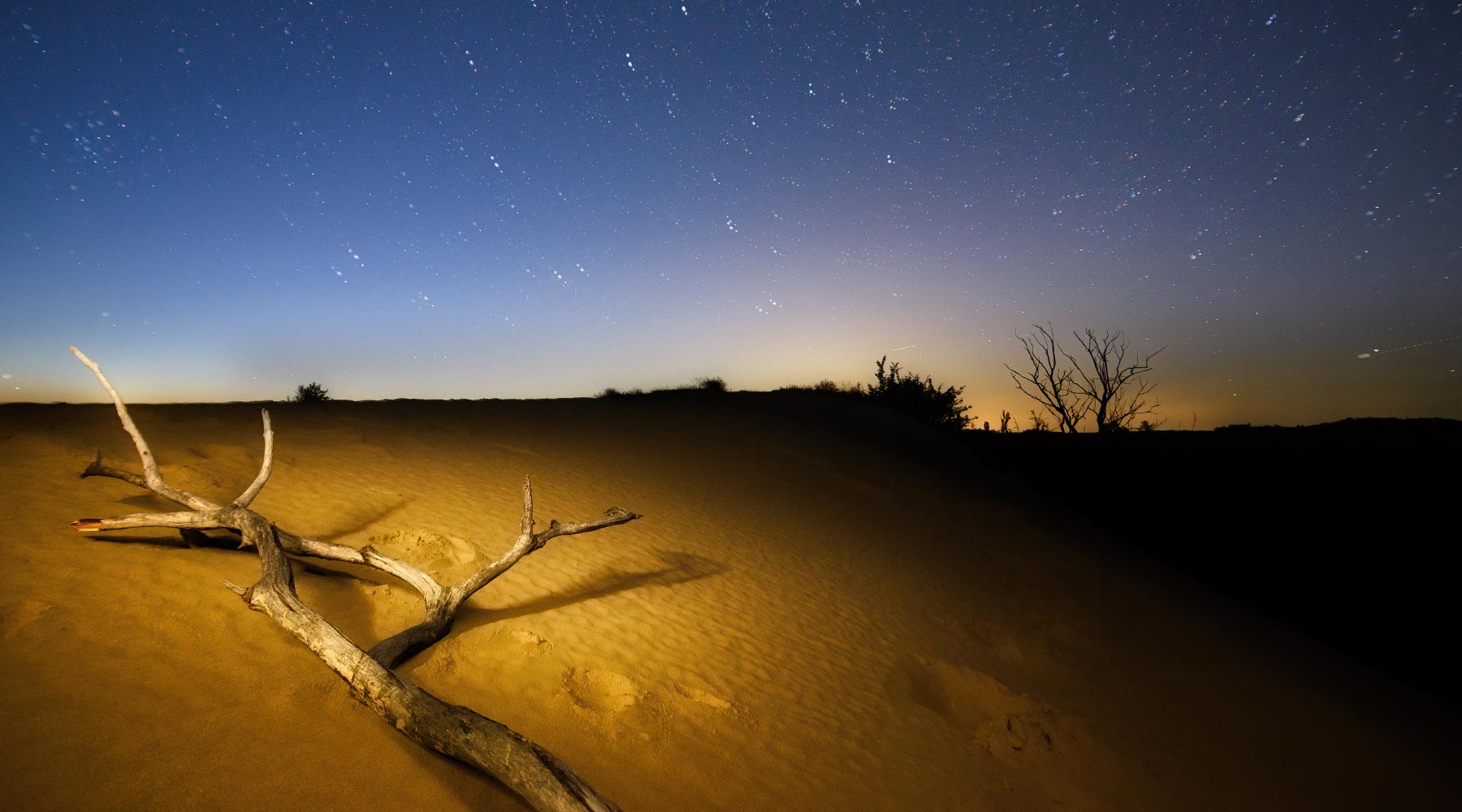 Namib Desert