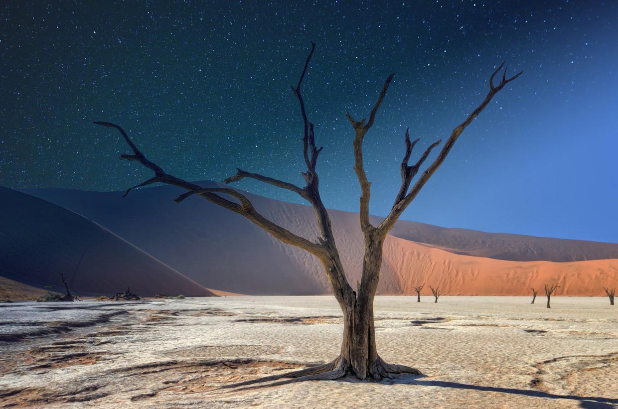 Namib Desert