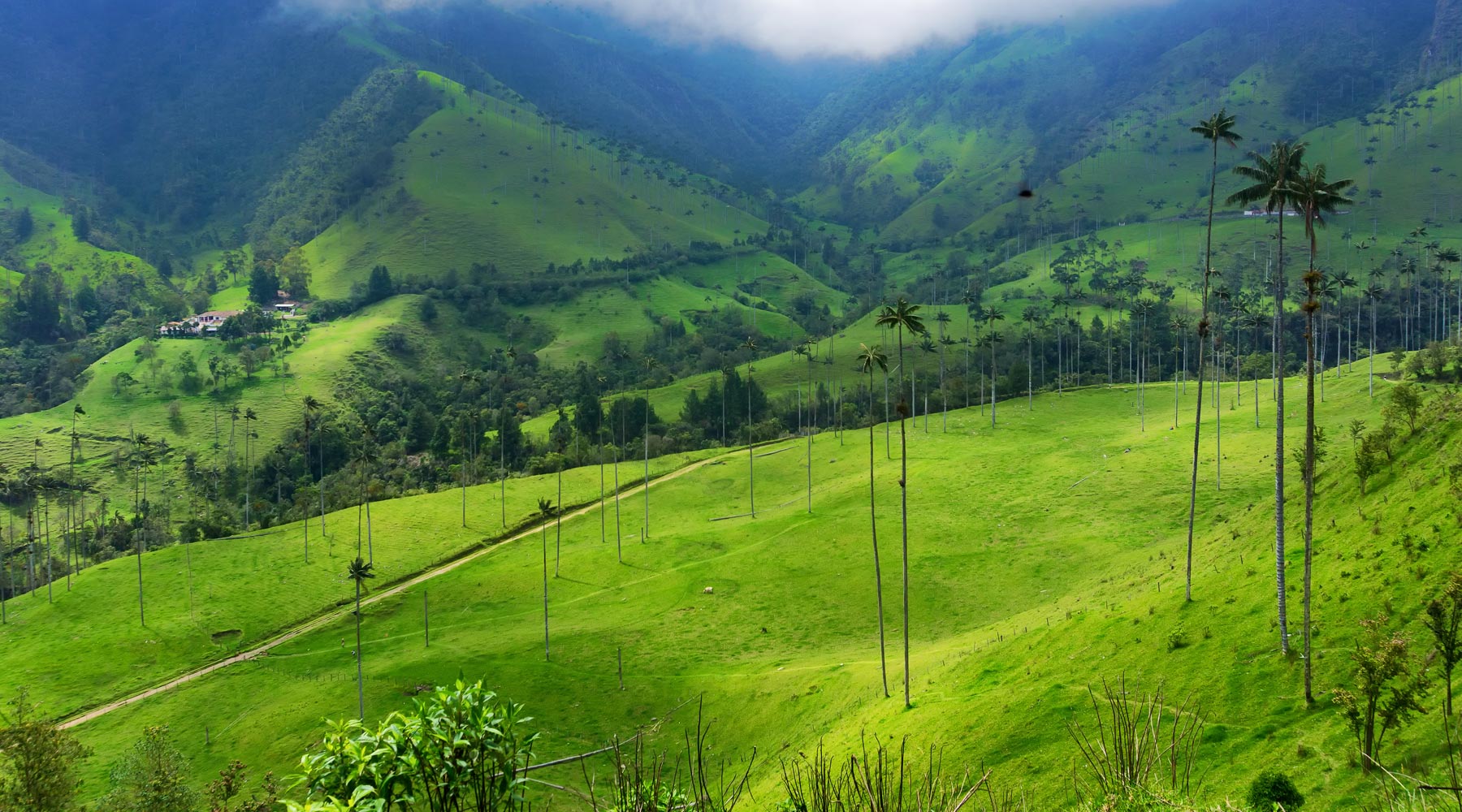 3 Days 2 Nights Nile Cruise from Aswan to Luxor