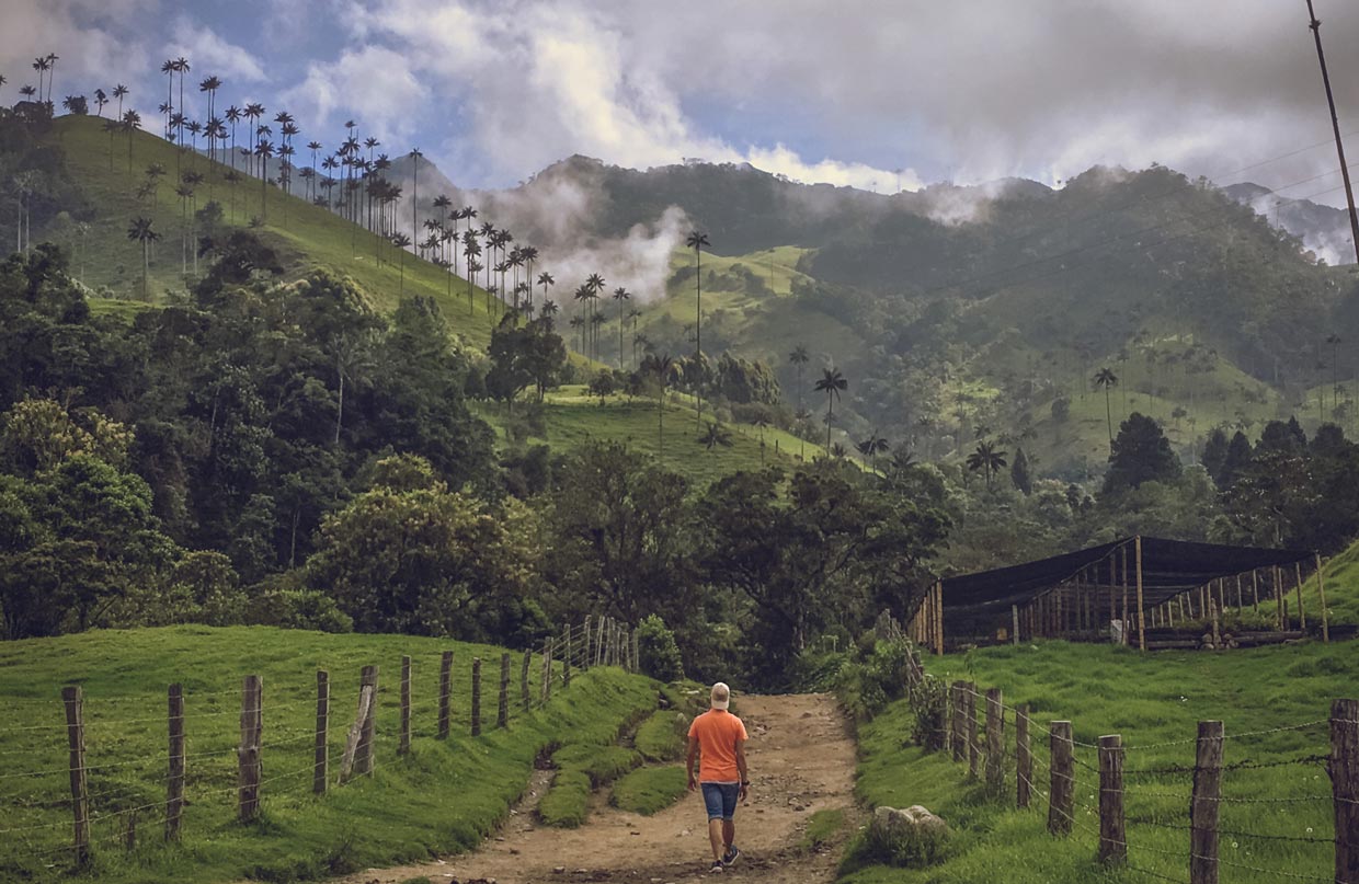 Cocora Valley in Colombia