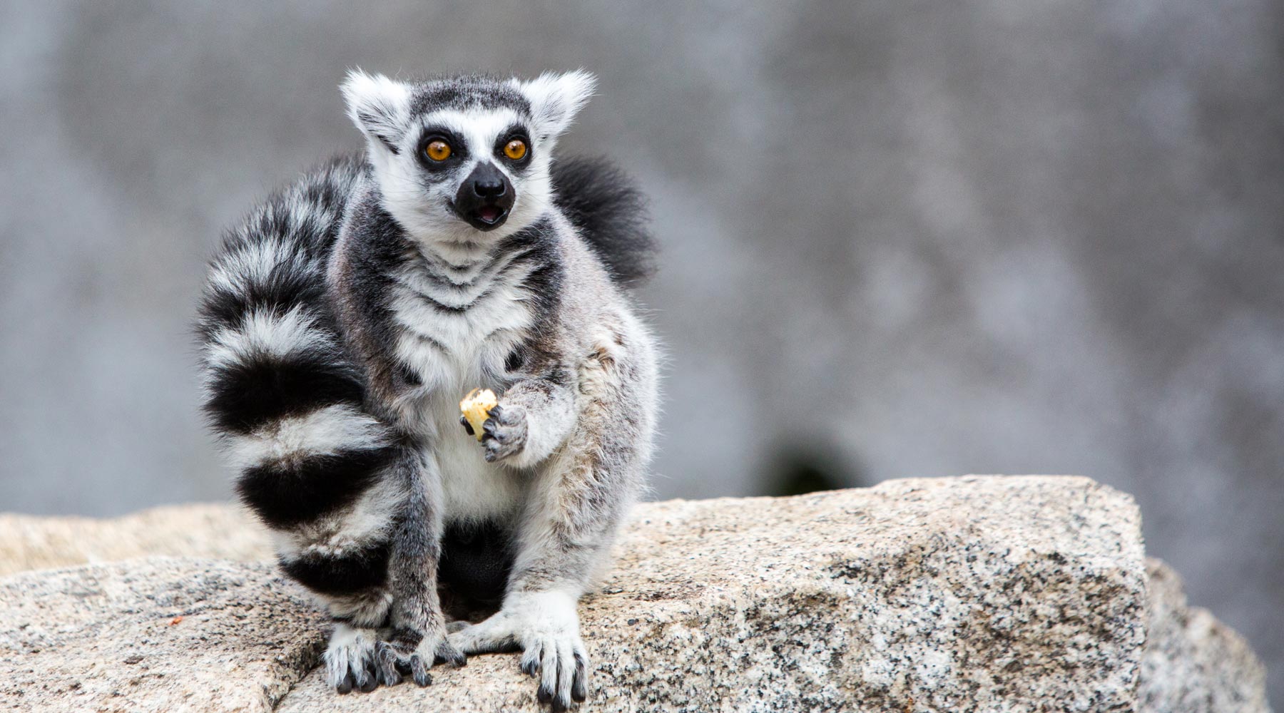 3 Days 2 Nights Nile Cruise from Aswan to Luxor