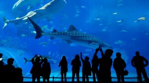 Istanbul Aquarium