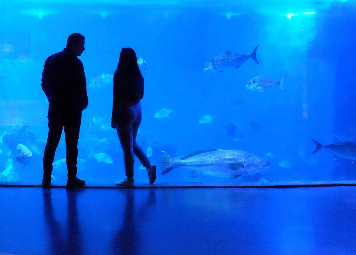 Istanbul Aquarium