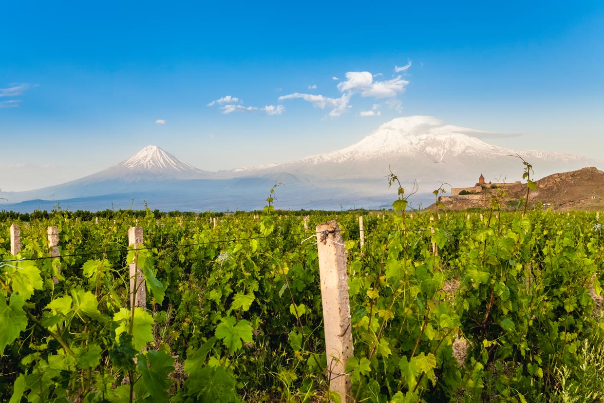 4 Days 3 Nights Private Nile Cruise from Aswan to Luxor