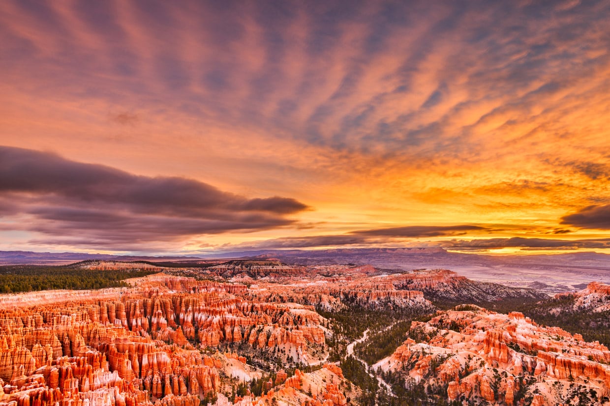 Bryce National Park