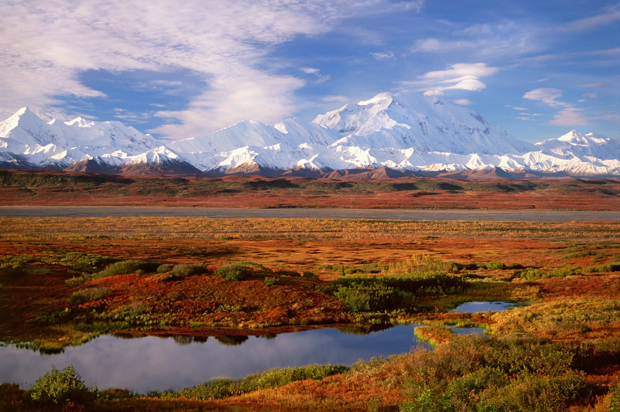 Denali National Park