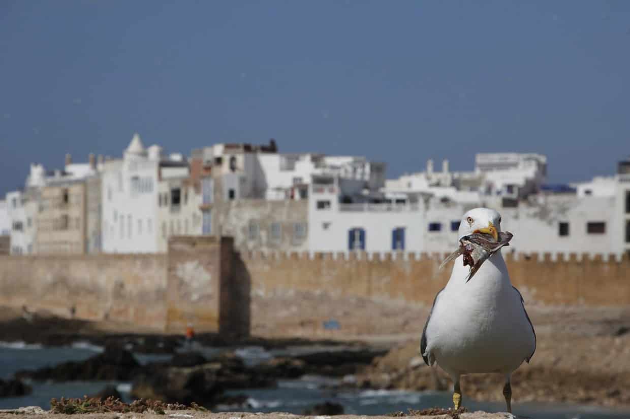 Essaouira