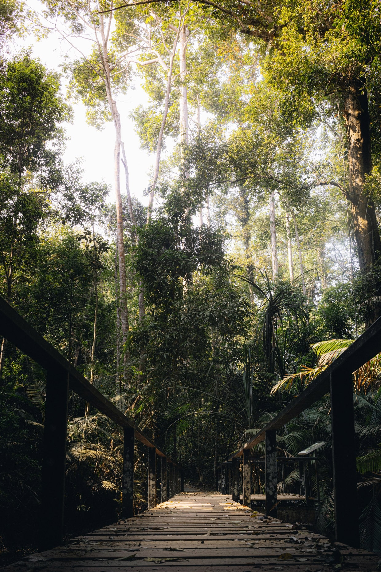 Khao Yai National Park