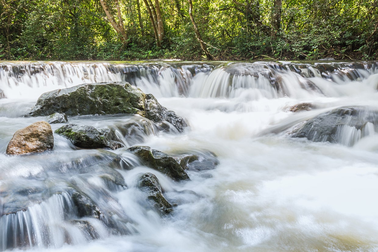 Khao Yai National Park