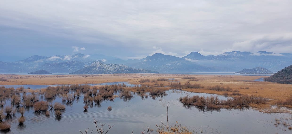 Shkodra Lake