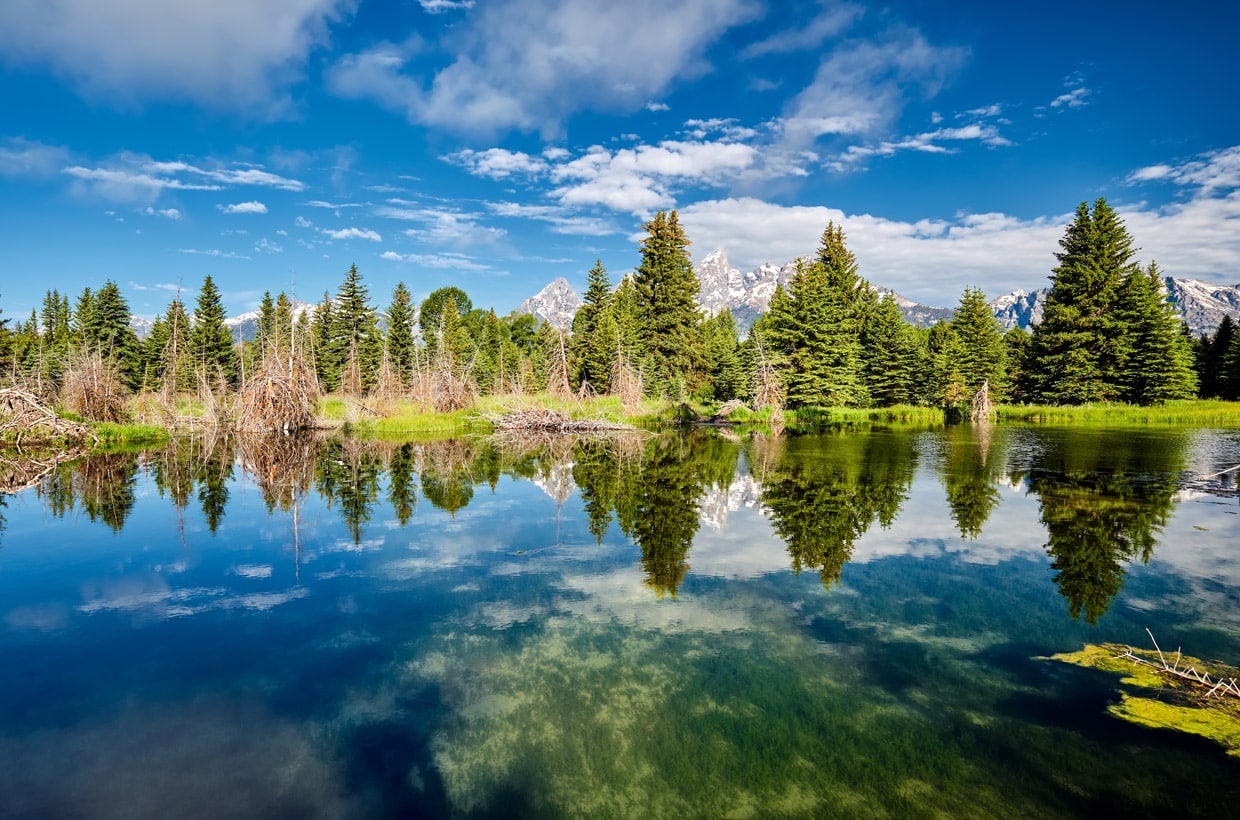 Teton National Park