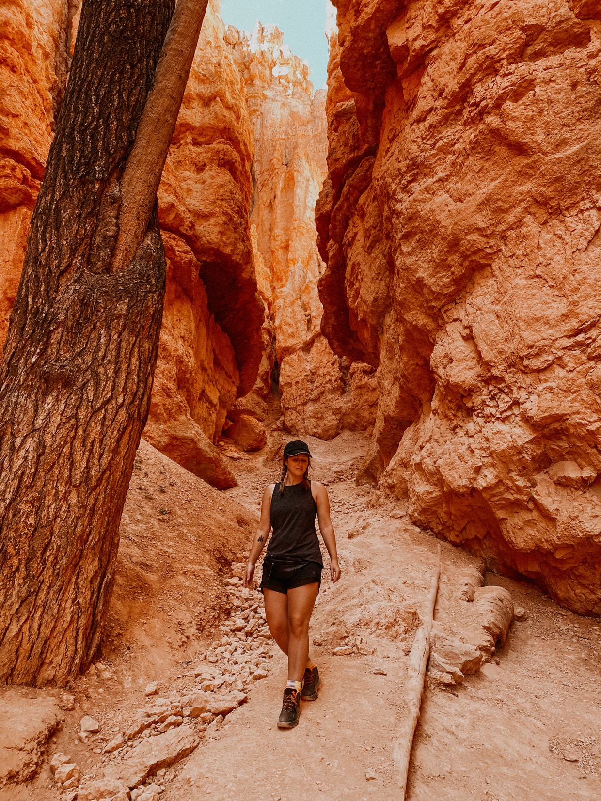 Bryce National Park