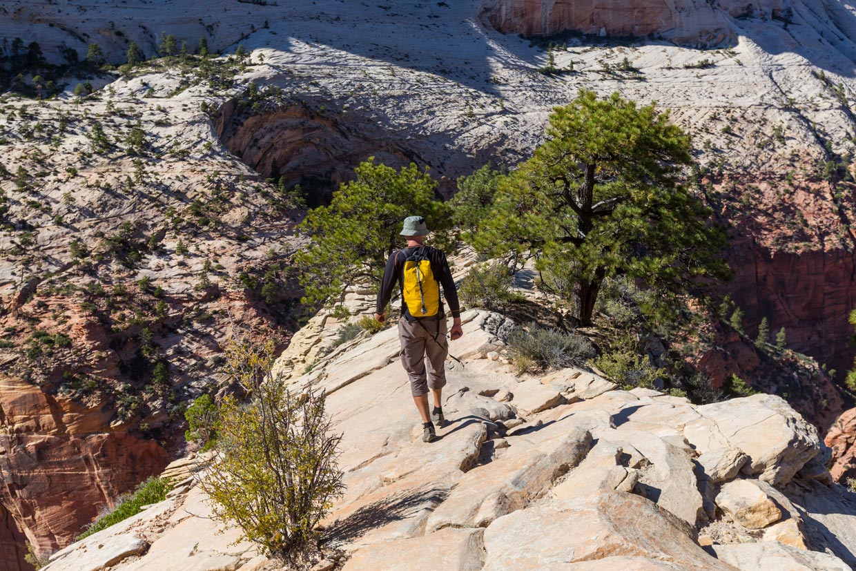 Zion Canyon Scenic Hiking