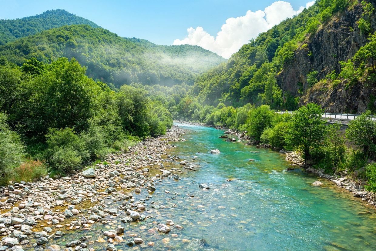 Tara River