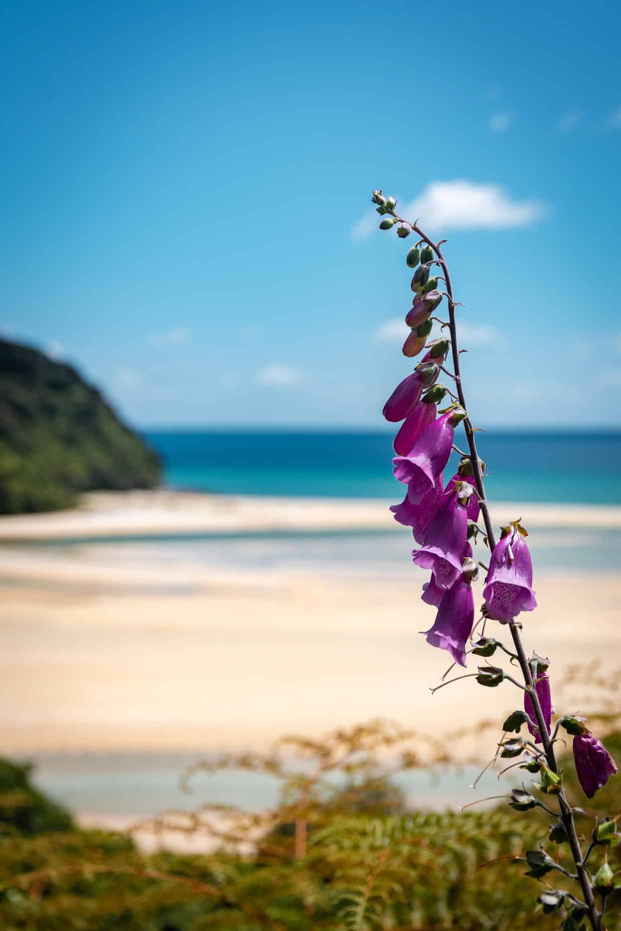 Abel Tasman National Park