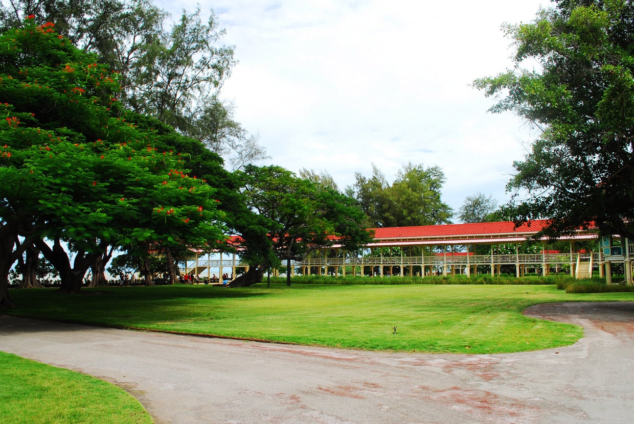 Desert Safari and Camel Adventure Tour