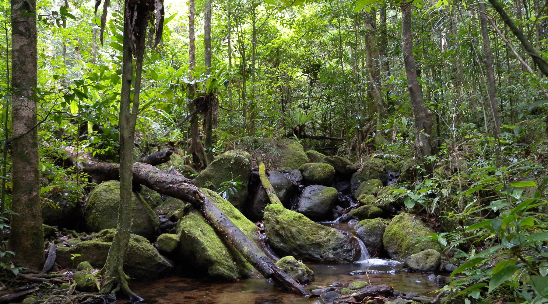 Masoala National Park