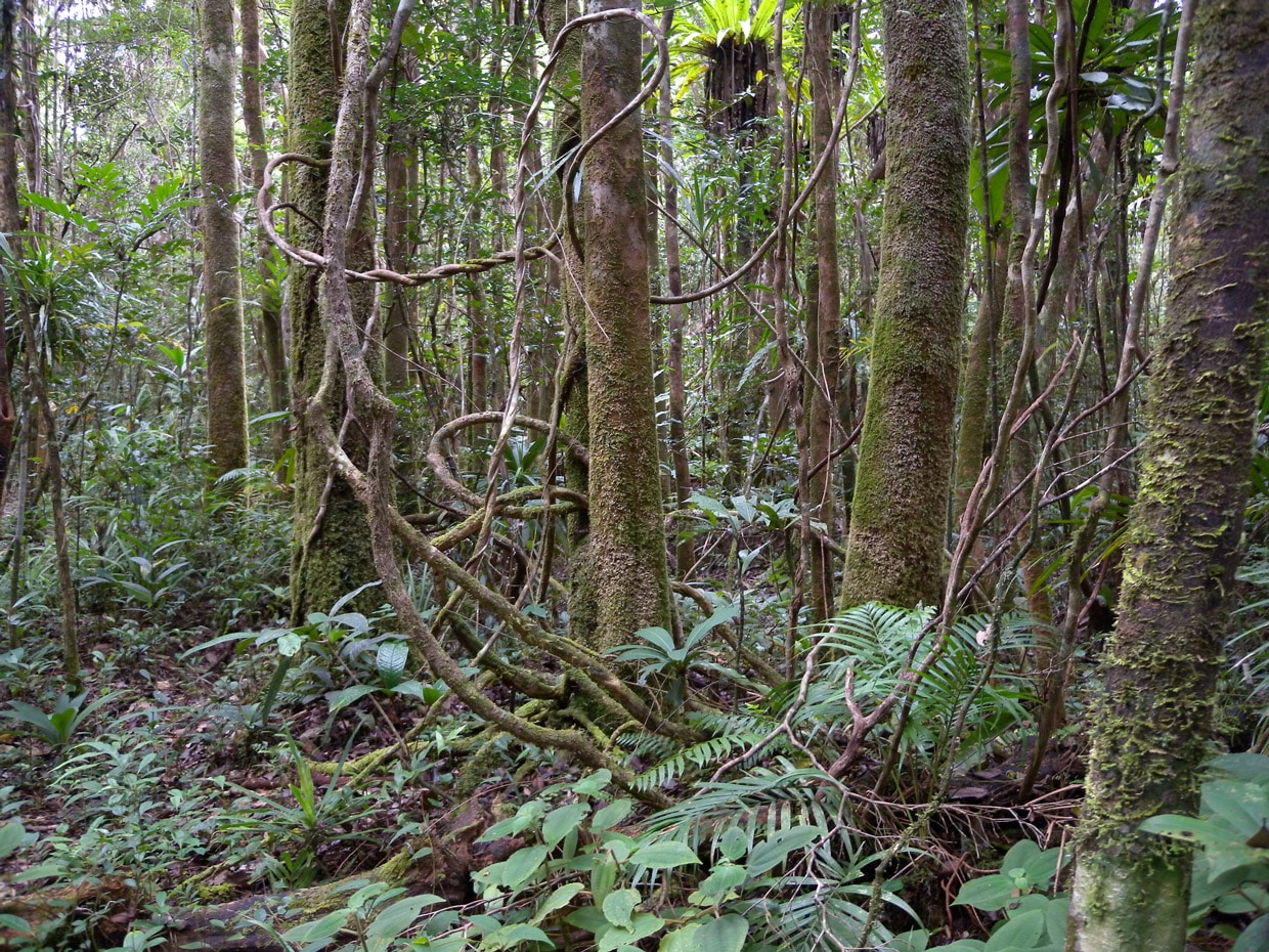 From Hurghada: Luxor Overnight Tour and Hot Air Balloon Ride