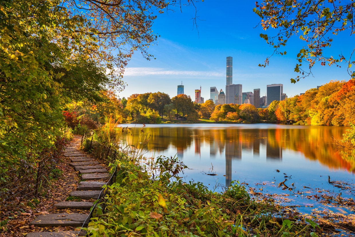 Central Park in New York