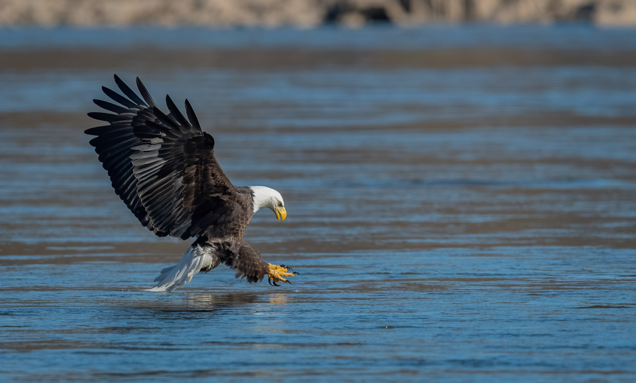 Iris Cruise 5 Star Luxury Halong Bay Day Tour from Harbor