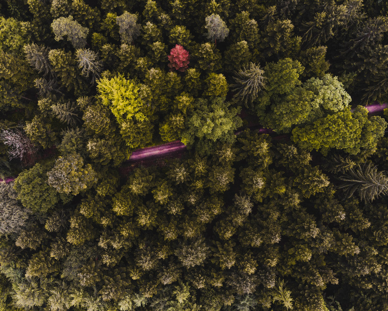 Full-Day Tour to Luxor Valley of The Kings From Hurghade