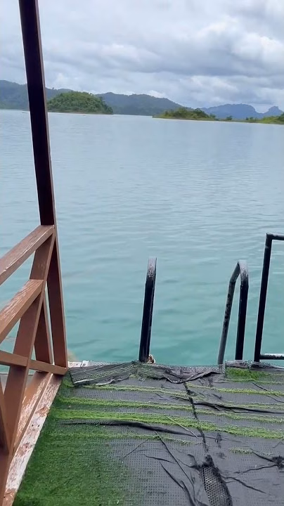 Steps from a floating bungalow deck into Cheow Lan Lake
