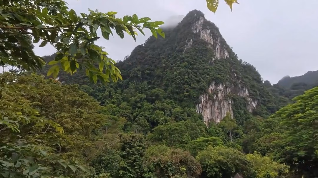 Limestone cliff above the jungle at The Cliff & River Resort