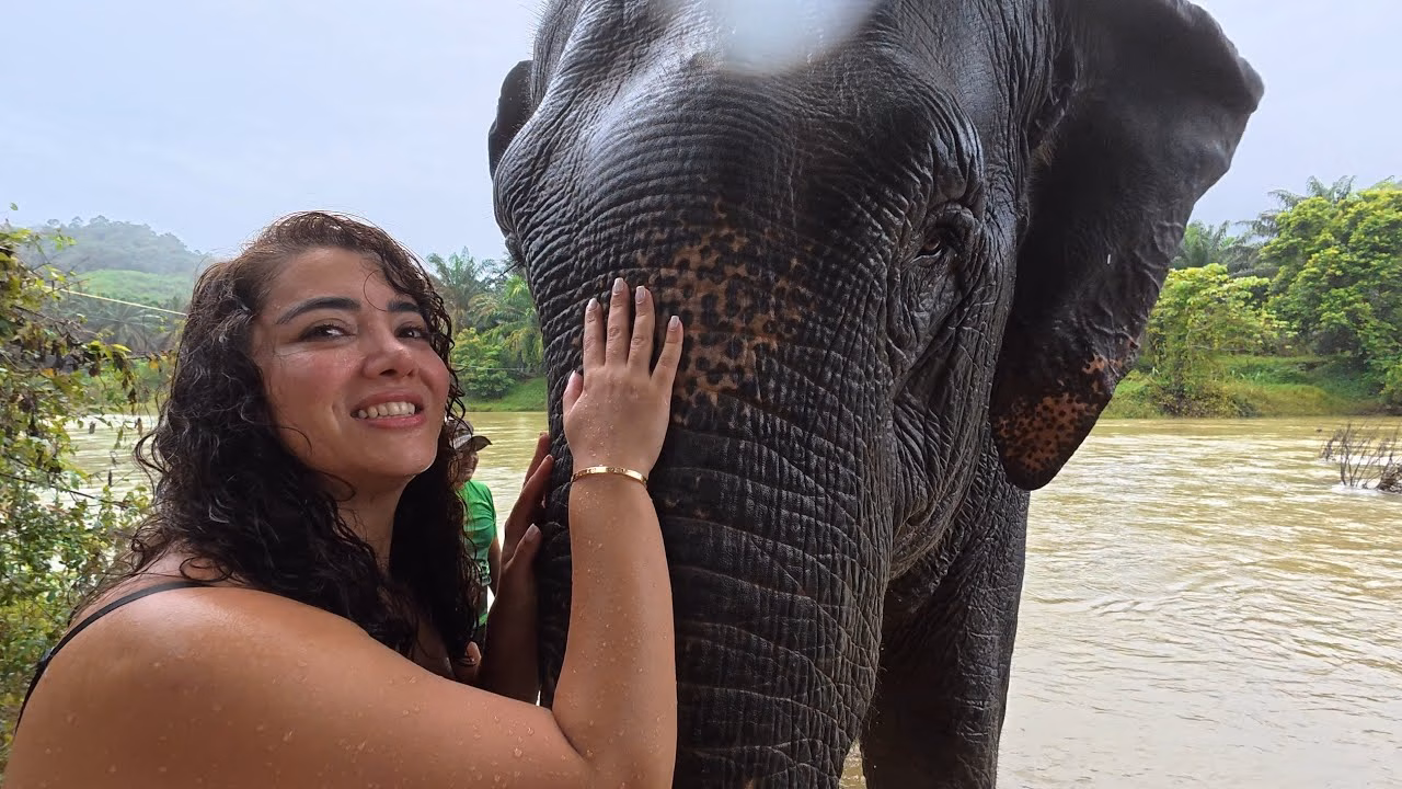 Sara with Banana Leaf at Buathong Elephant Home